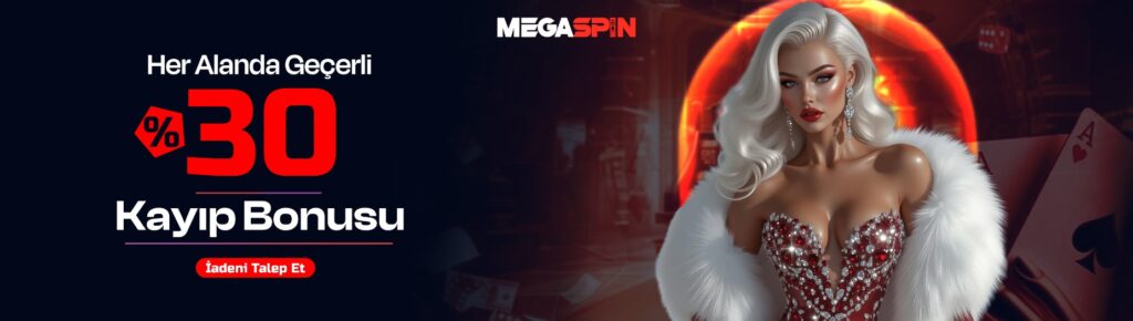 Megaspin Giriş