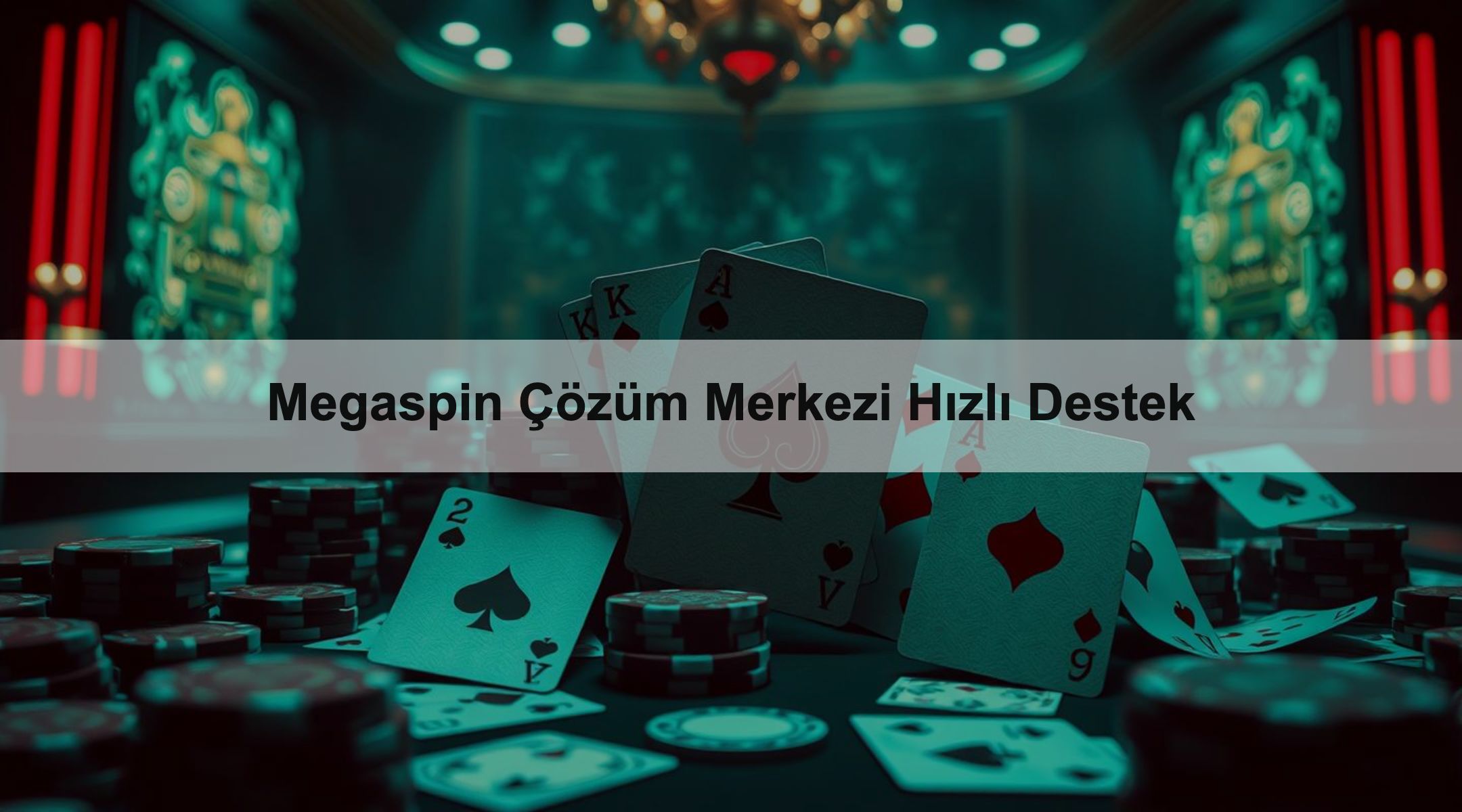 Megaspin Çözüm Merkezi Hızlı Destek