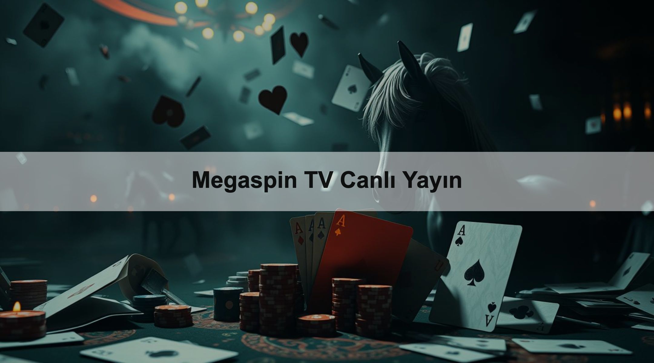 Megaspin TV Canlı Yayın